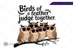 Owls on branch with sunglasses illustration PNG Product Image 1