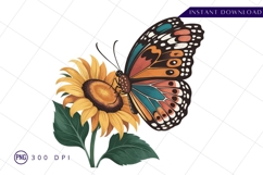 Butterfly on sunflower sublimation png Product Image 1