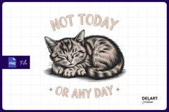 Sleeping cat with not today slogan sublimation png Product Image 1