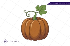 Cartoon style pumpkin with vine sublimation png Product Image 1