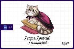 Cartoon Cat Wearing Cape On Pillows Sublimation PNG Product Image 1