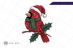 Christmas Cardinal Bird With Santa Hat PNG Product Image 1