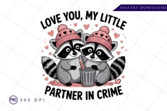 Cute Raccoon Couple Sublimation PNG Product Image 1