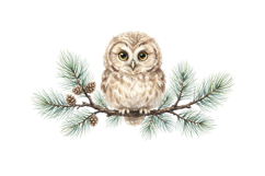 Cute Owl Png Design |Forest Png Cut files | Cricut Product Image 1