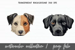 Baby Dog Watercolor Clipart Png Product Image 2