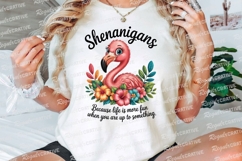 Cartoon Flamingo Shenanigans Sublimation PNG Product Image 3