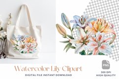 Watercolor Lily Clipart, Lilies Flower Bouquets, Floral PNG Product Image 1