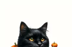 Black Cat with Pumpkins PNG Digital Prints for Fall Product Image 3
