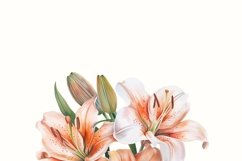 Digital Lily Plants Printable Art Spring Florals Sublimation Product Image 4