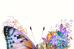 Floral Buttterfly Png Sublimation Design, Flower Butterfly Product Image 10