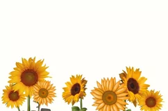 Booktrovert with Sunflowers Png Instant Download Product Image 6