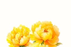 Yellow Peonies PNG Digital Download Product Image 4