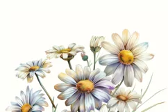 Daisy Floral Digital Downloads, Tshirt Design PNG Product Image 4