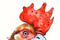 Watercolor Rooster PNG Digital Download Product Image 8