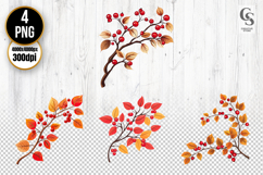 Autumn Red Berry Branch Clipart PNG Product Image 1