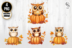 Owl Pumpkin Clipart PNG | Autumn Woodland Sublimation Product Image 1