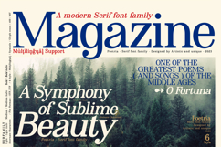 Poetria - Serif Font Family Product Image 10