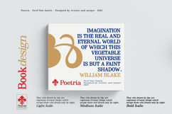 Poetria - Serif Font Family Product Image 11
