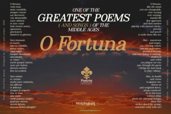 Poetria - Serif Font Family Product Image 14