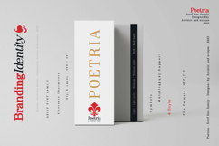 Poetria - Serif Font Family Product Image 7