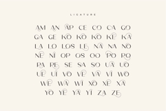 Poina - Beauty Ligature Font Product Image 10