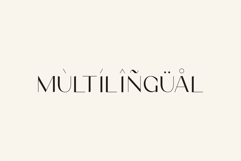 Poina - Beauty Ligature Font Product Image 11