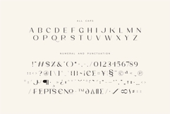 Poina - Beauty Ligature Font Product Image 12