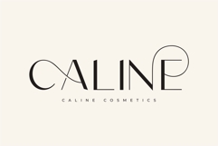 Poina - Beauty Ligature Font Product Image 4