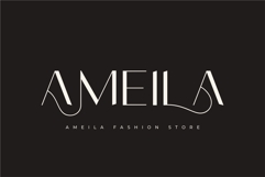 Poina - Beauty Ligature Font Product Image 5