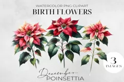 Birth Month Flowers Clipart, December Poinsettia PNG. Product Image 1
