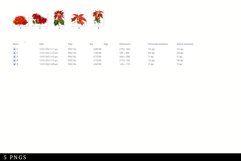 Poinsettia Vintage Floral Botanical Clip Art Product Image 2