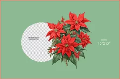 Poinsettia sublimation png| Christmas flowers| Poinsettia Product Image 2