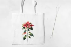 Birth Month Flowers Clipart, December Poinsettia PNG. Product Image 3