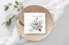 Poinsettia sublimation PNG Watercolor Christmas arrangements Product Image 4