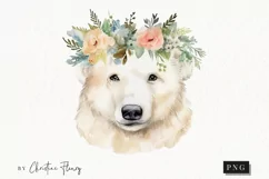 Watercolor Polar Bear Clipart | Watercolor Animal PNG Product Image 1