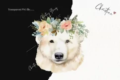 Watercolor Polar Bear Clipart | Watercolor Animal PNG Product Image 2
