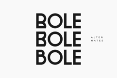 Polea - Modern Logo Font Product Image 5