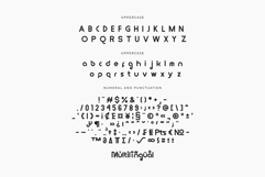 Polea - Modern Logo Font Product Image 9