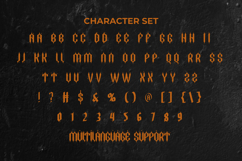 Polisi Skena Font Product Image 5