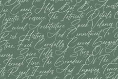 Political Otthestic - Modern Script Font Product Image 11