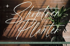 Political Otthestic - Modern Script Font Product Image 12