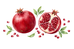 Pomegranate Png| Fruit Png Product Image 1