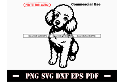 Poodle Dog Begging Design SVG PNG DXF EPS PDF Product Image 1
