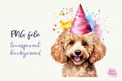 3 Birthday Poodle Clipart in a Party Hat PNG Product Image 2