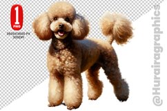 Poodle dog clipart- PNG File Product Image 1