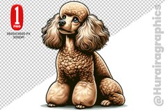 Poodle dog clipart- PNG File Product Image 1