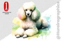 Poodle dog clipart- PNG File Product Image 1