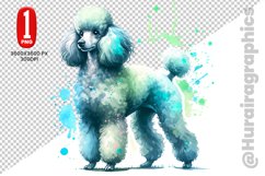 Poodle dog clipart- PNG File Product Image 1