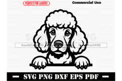 Peeking Poodle Dog SVG PNG DXF EPS PDF Product Image 1