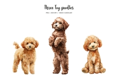 Watercolor Christmas toy poodle clipart. Xmas dogs clip art Product Image 2